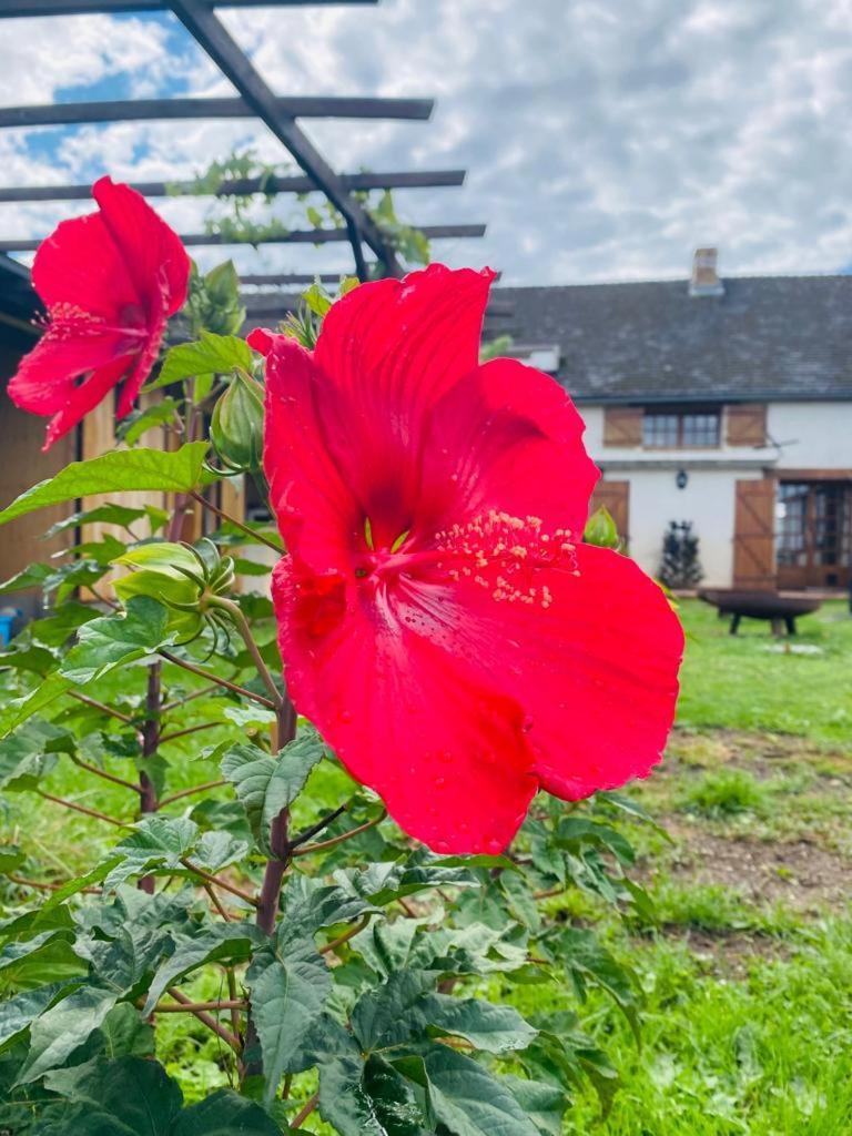 Le Chene D'Or Bed & Breakfast Marcheseuil Екстериор снимка