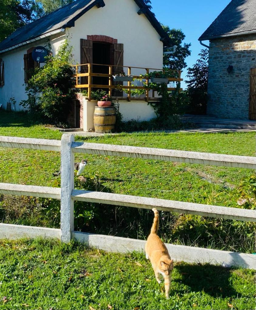 Le Chene D'Or Bed & Breakfast Marcheseuil Екстериор снимка
