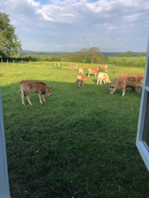 Le Chene D'Or Bed & Breakfast Marcheseuil Екстериор снимка