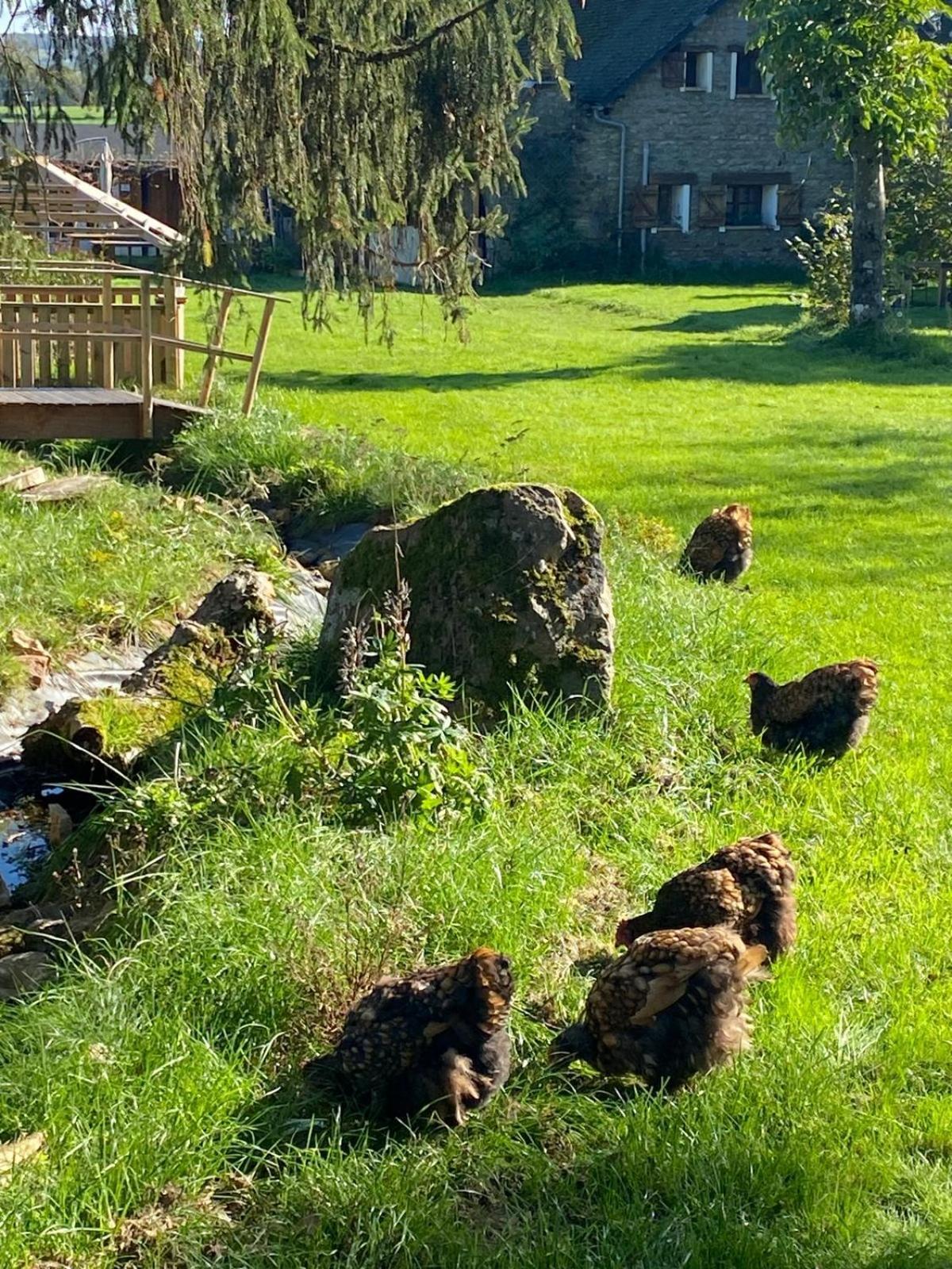 Le Chene D'Or Bed & Breakfast Marcheseuil Екстериор снимка